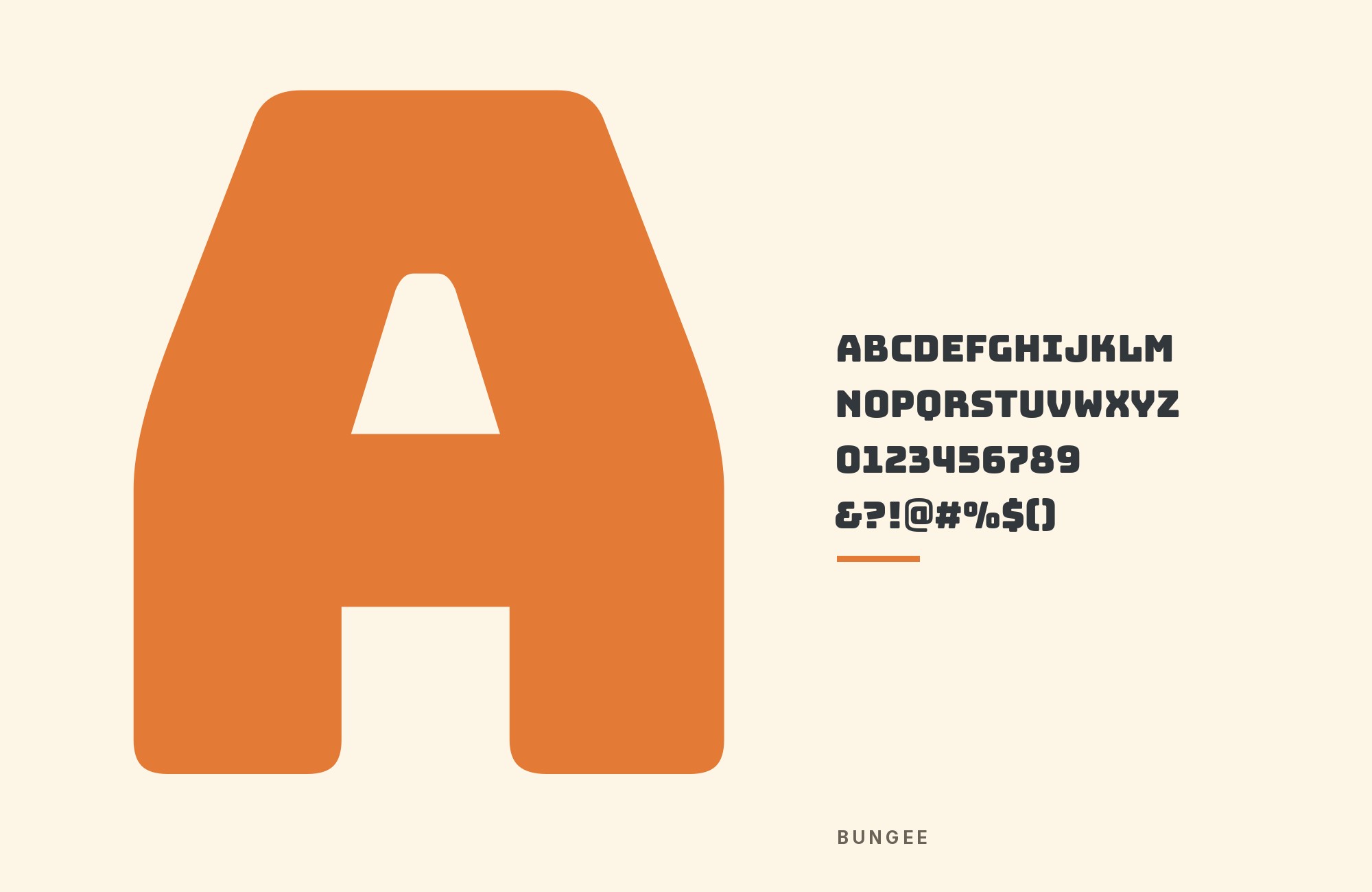 Bungee type specimen