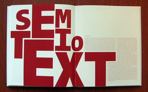 From the book: Art and Text