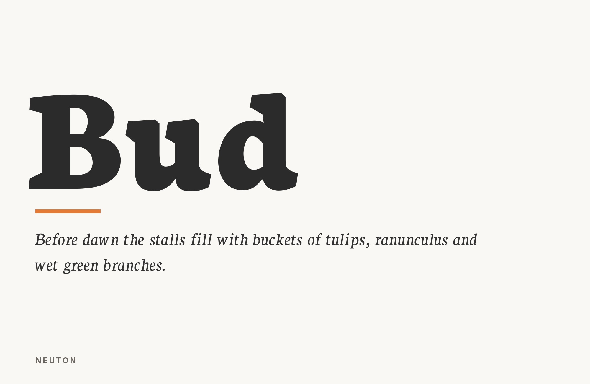 Neuton type specimen