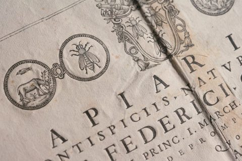 seventeenth century book2