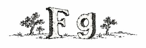 Pen-and-ink enlargement of a half-inch-tall book vignette showing the letterforms F and g, from a late-18th-century pocket book