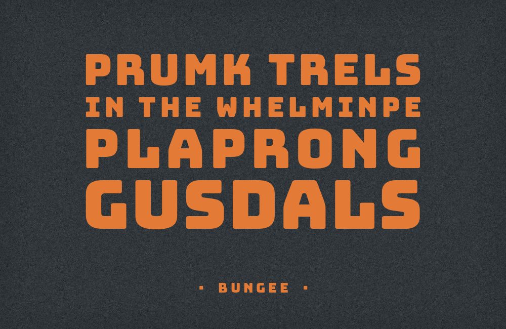 Bungee type specimen
