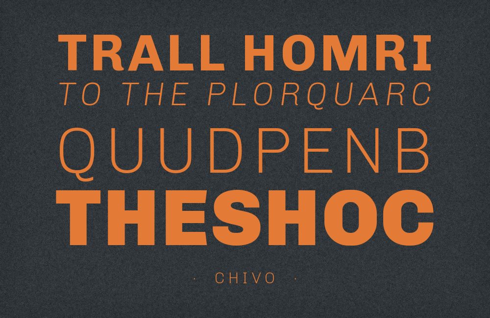 Chivo type specimen