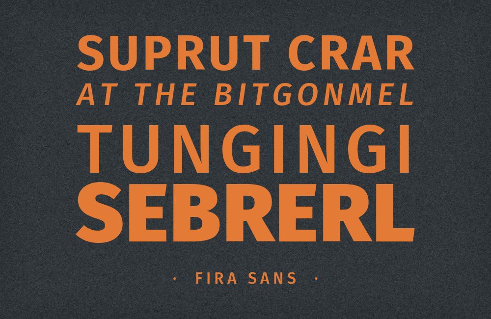 Fira Sans type specimen
