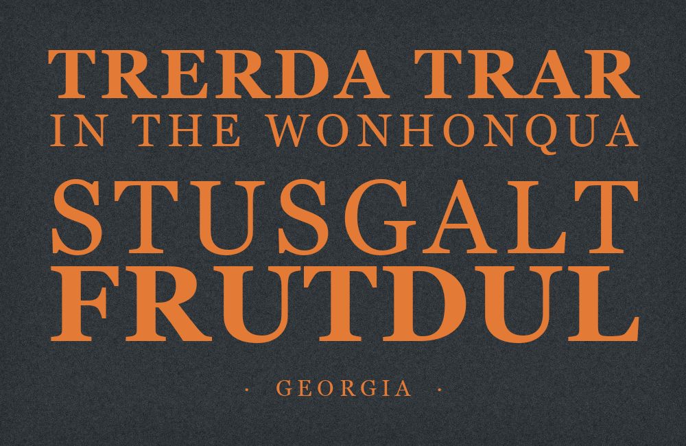Georgia type specimen