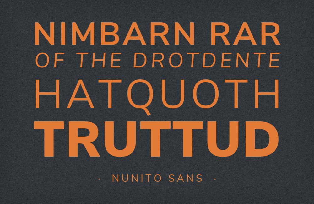 Nunito Sans type specimen