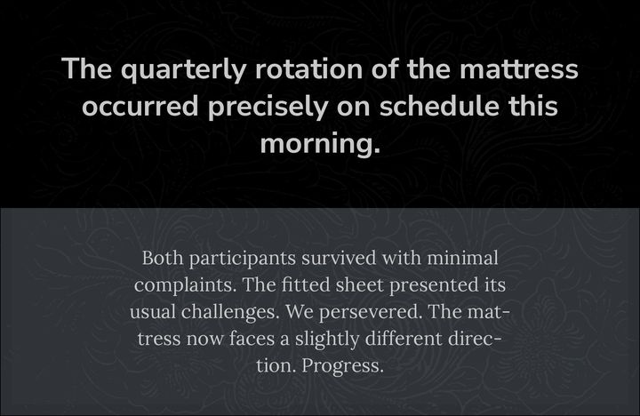 Nunito Sans and Lora font combination: rendered specimen with headline and body text