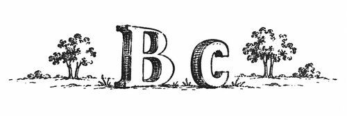 Pen-and-ink enlargement of a half-inch-tall book vignette showing the letterforms B and c, from a late-18th-century pocket book