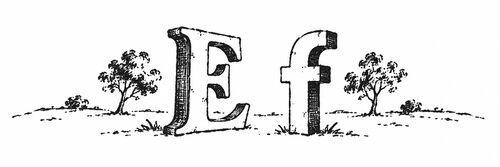 Pen-and-ink enlargement of a half-inch-tall book vignette showing the letterforms E and f, from a late-18th-century pocket book