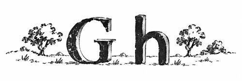 Pen-and-ink enlargement of a half-inch-tall book vignette showing the letterforms G and h, from a late-18th-century pocket book