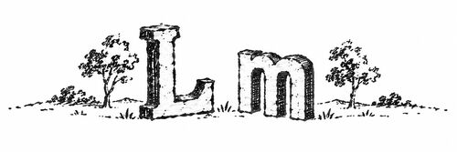 Pen-and-ink enlargement of a half-inch-tall book vignette showing the letterforms L and m, from a late-18th-century pocket book
