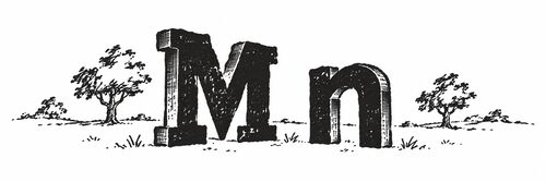 Pen-and-ink enlargement of a half-inch-tall book vignette showing the letterforms M and n, from a late-18th-century pocket book