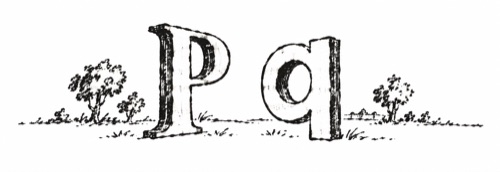 Pen-and-ink enlargement of a half-inch-tall book vignette showing the letterforms P and q, from a late-18th-century pocket book