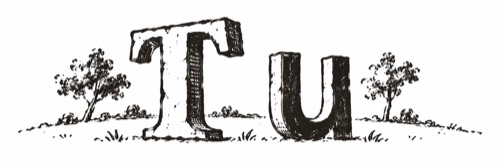 Pen-and-ink enlargement of a half-inch-tall book vignette showing the letterforms T and u, from a late-18th-century pocket book