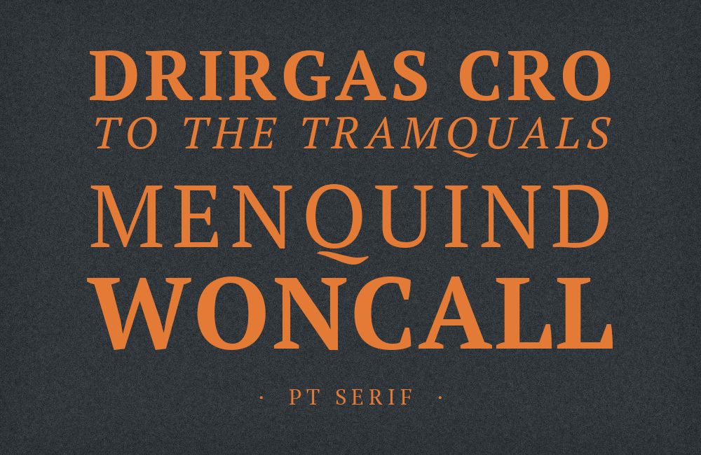 PT Serif type specimen