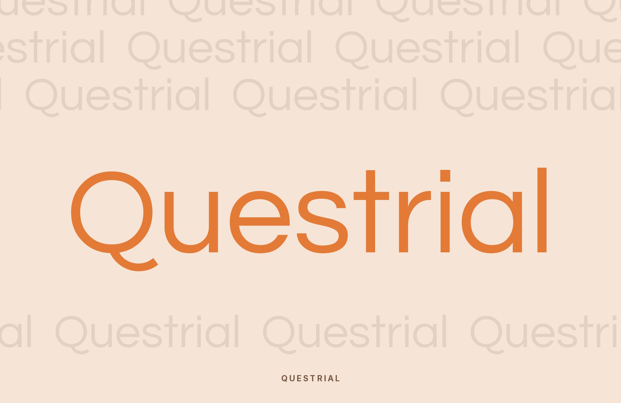 Questrial type specimen